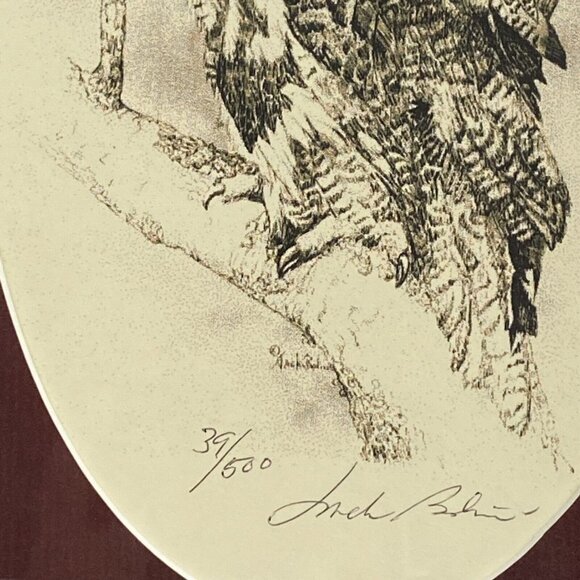 Jack Bolin Great Horned Owl Print Framed Wall Art Limited Edition numbered 39/50 - Picture 5 of 15